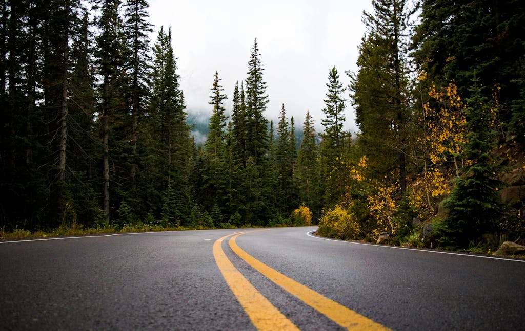 Cannabis Across Skagit County: From Sedro-Woolley to Anacortes 3 winding road through forest in Washington representing travel across Skagit County