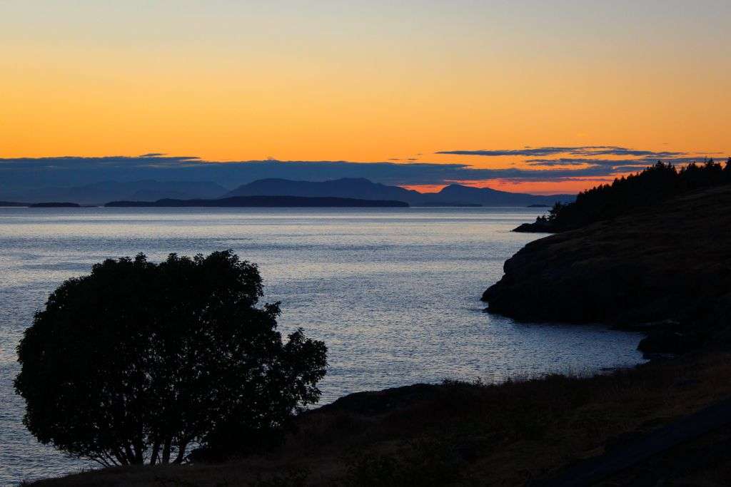Tranquil sunset view over the Washington State coastline, capturing the calm sea and silhouetted trees.